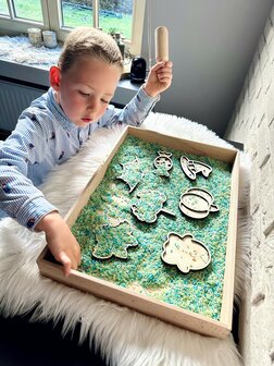 Vultrays - ridders en prinsessen