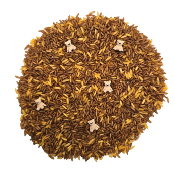 Speelrijst - teddy mix (750g)